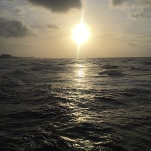 Meet your Posher, Jared